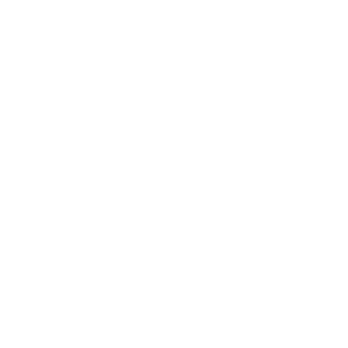 Netsense Cliente OmitsisMagento